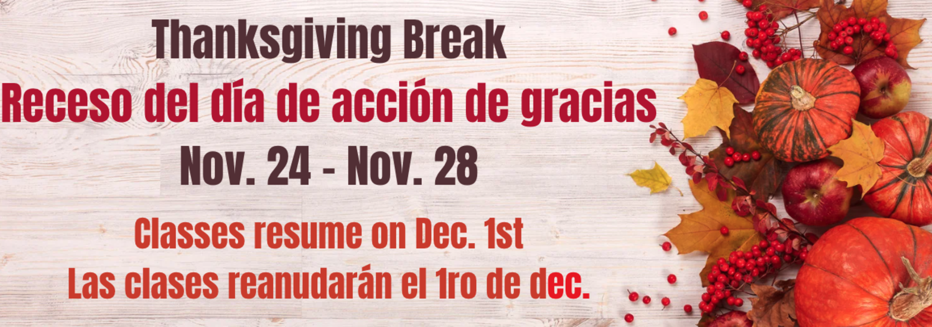 Pumpkins and leaves for Fall