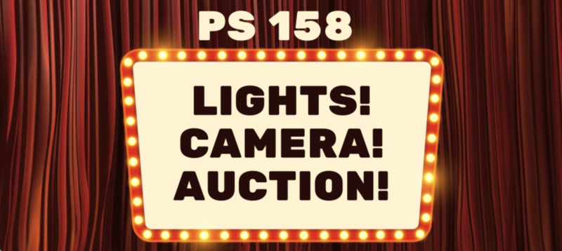 Lights Camera Auction