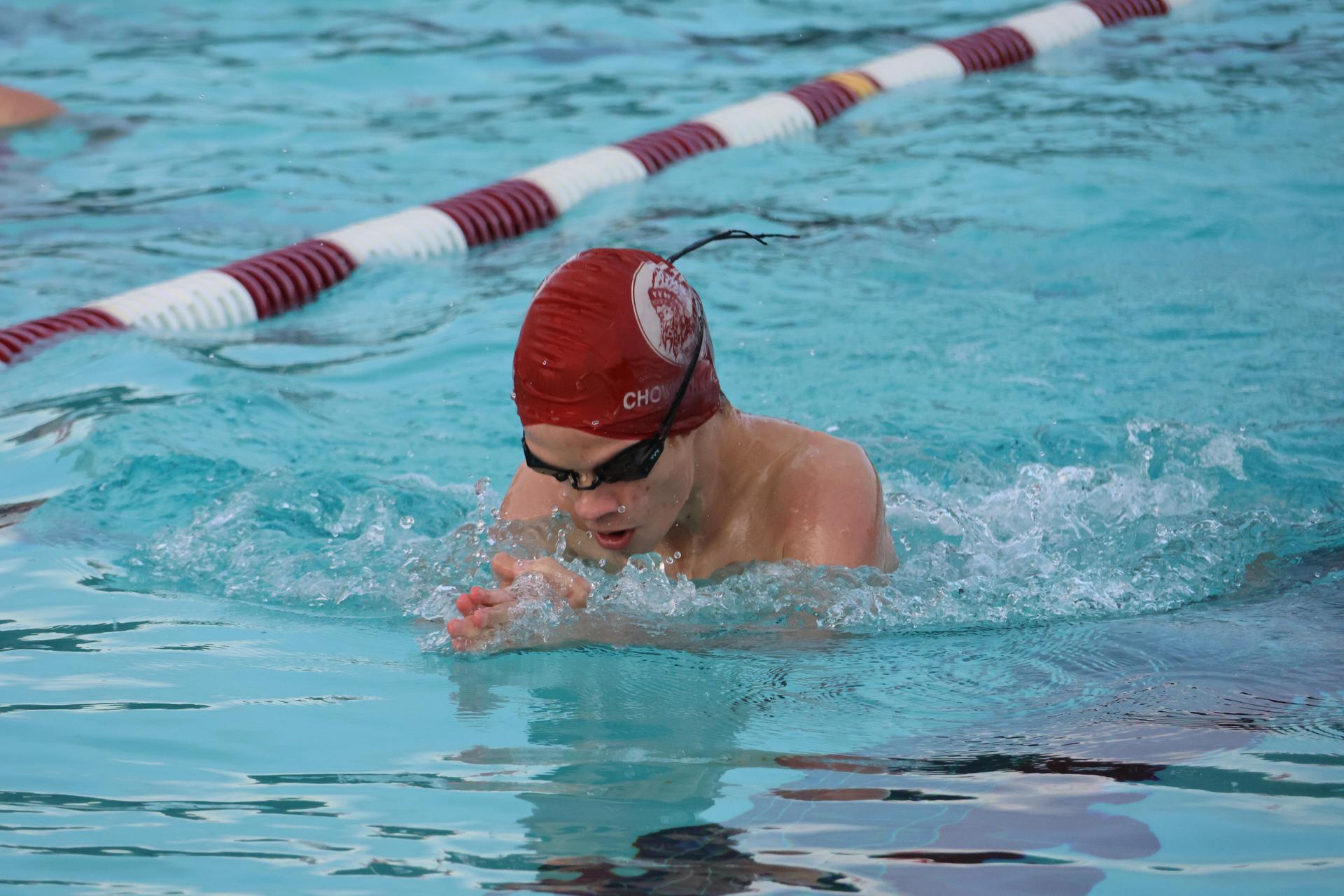darren trapanese swimming