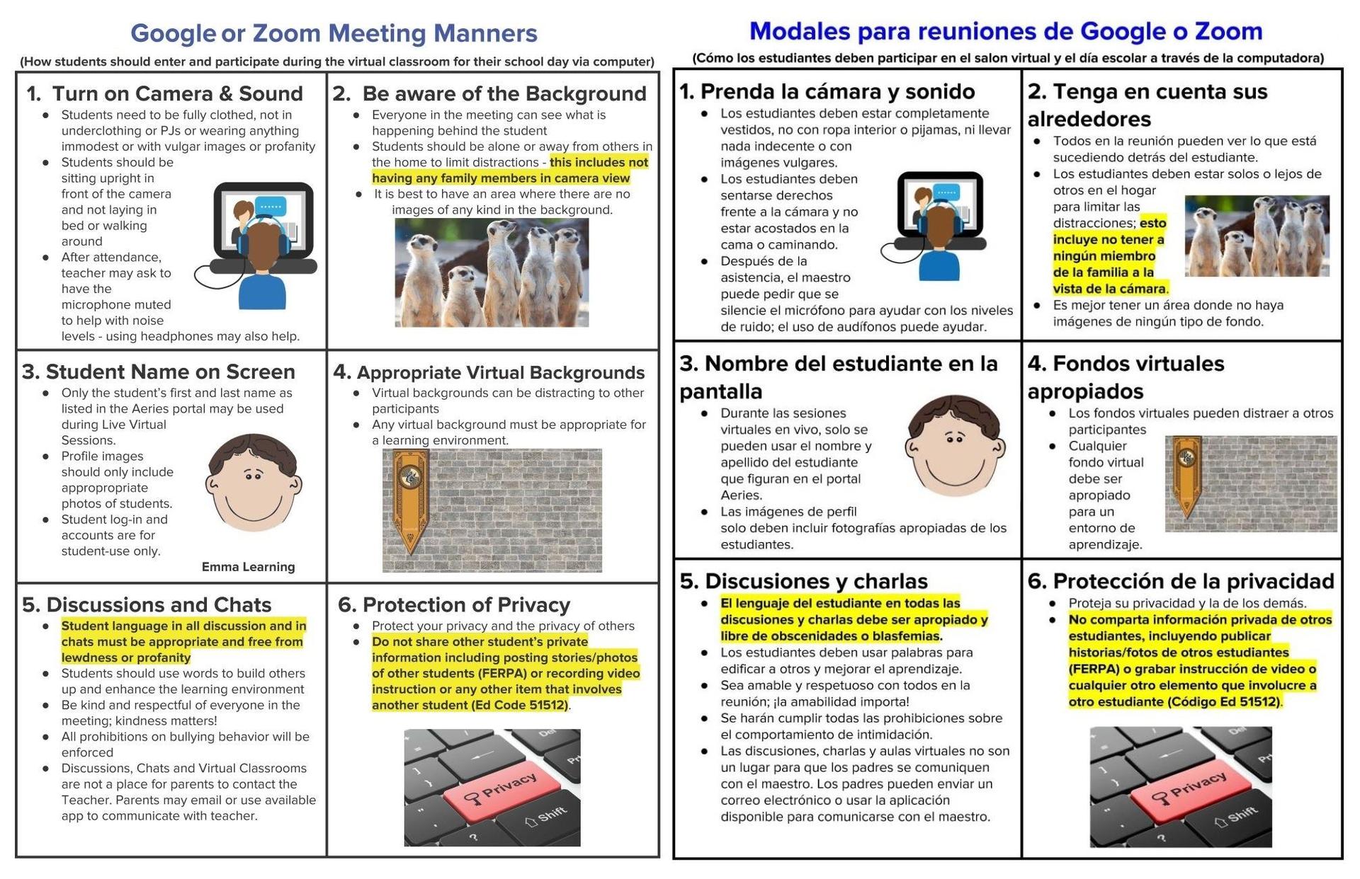 Google or Zoom Meeting Manners