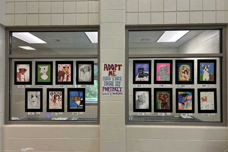 Pet portraits on display at the Animal Shelter