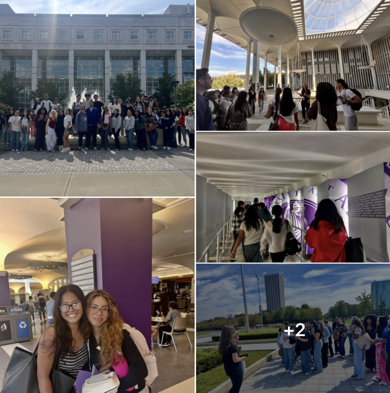 SUNY Albany