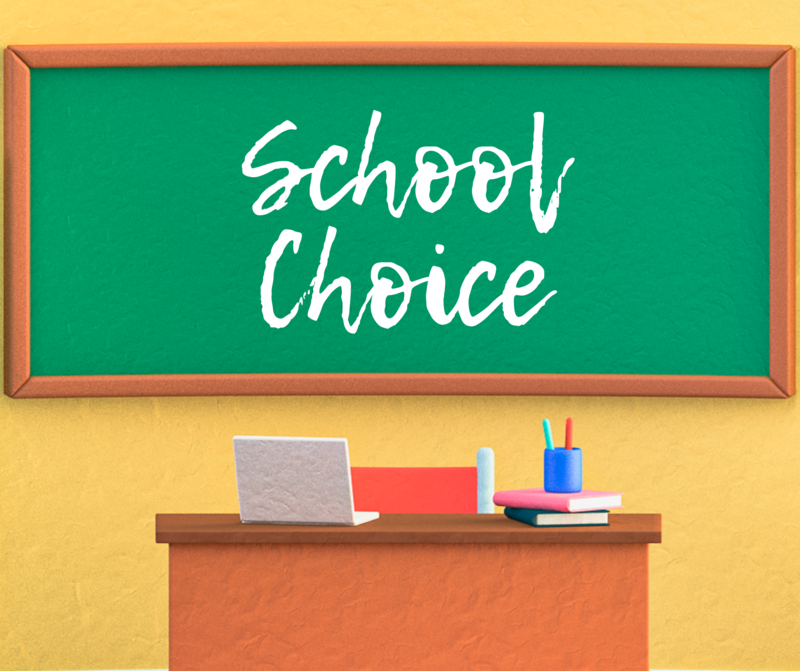 school choice