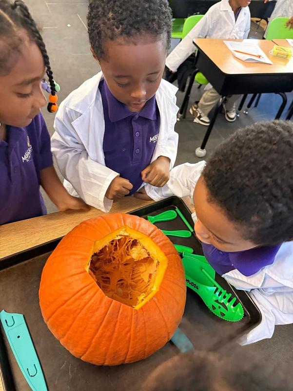 Scholars carving a pumpkin