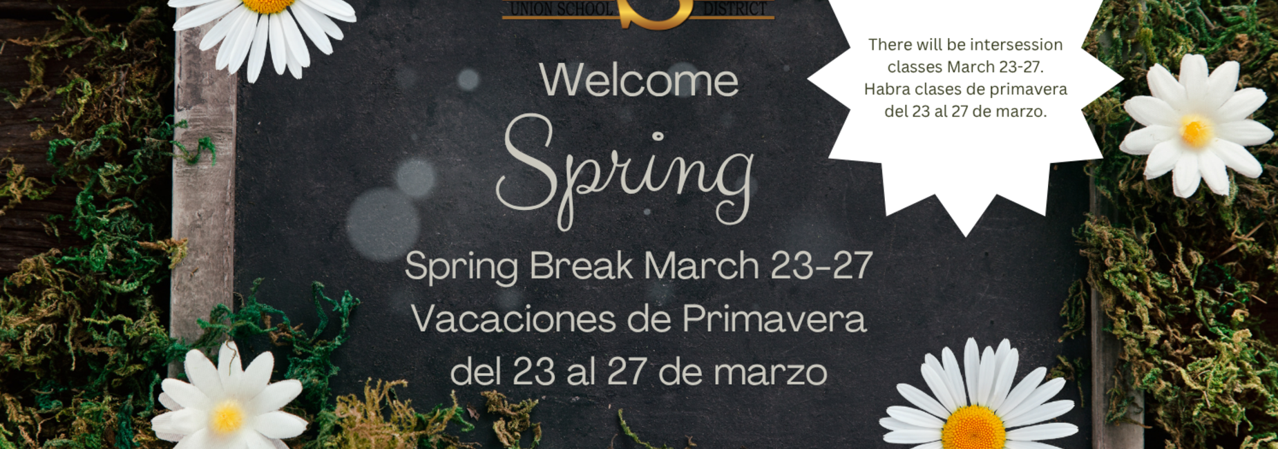 Welcome Spring sign with daisies and a chalkboard background.