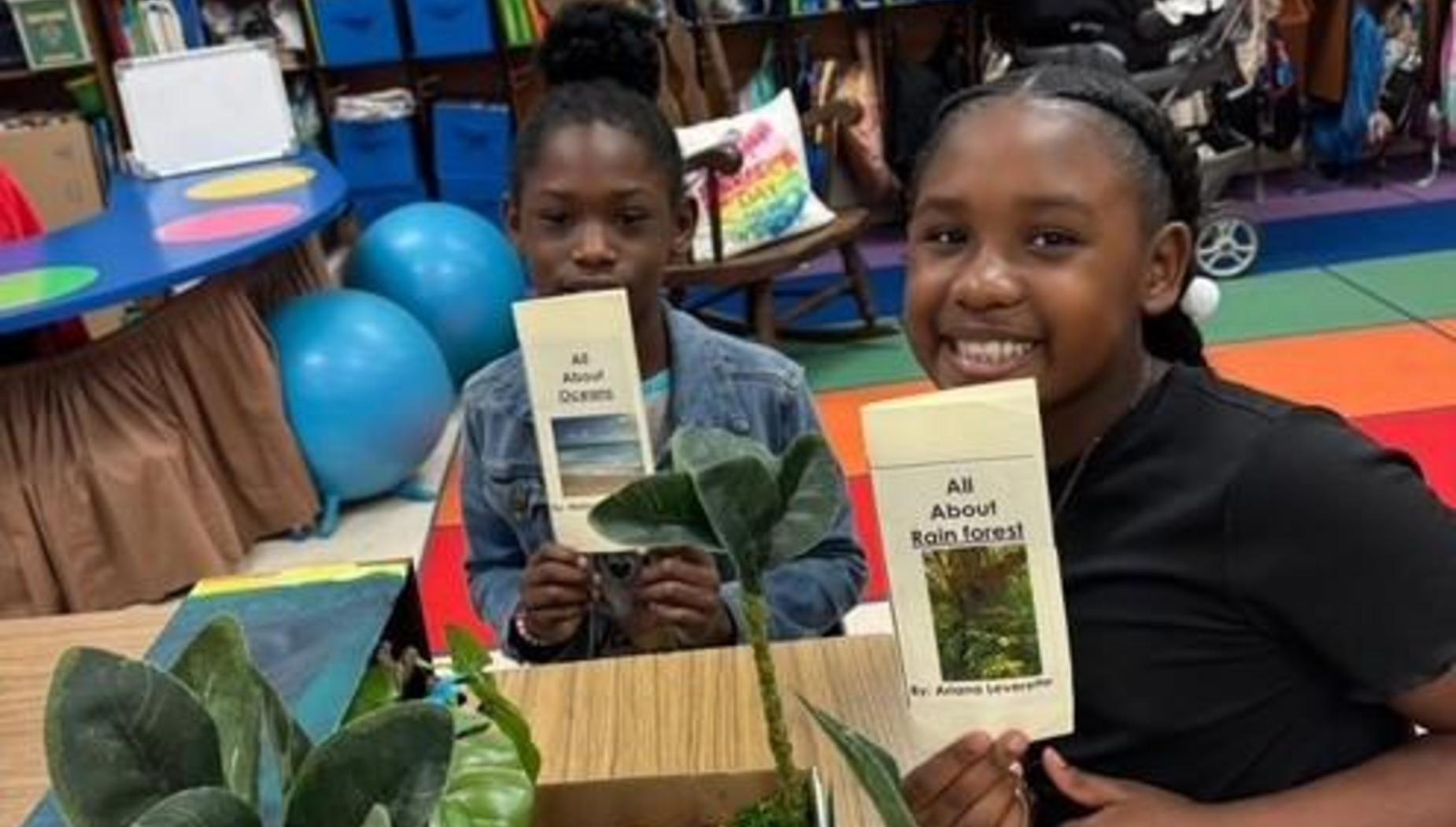 All About Rain Forest