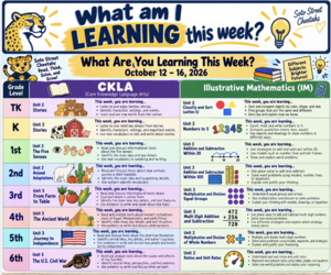 MY LEARNING THIS WEEK 10/19