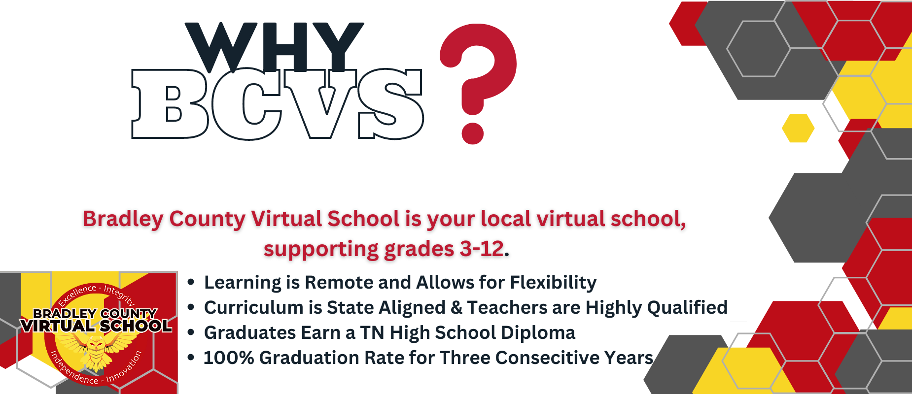 Why BCVS?