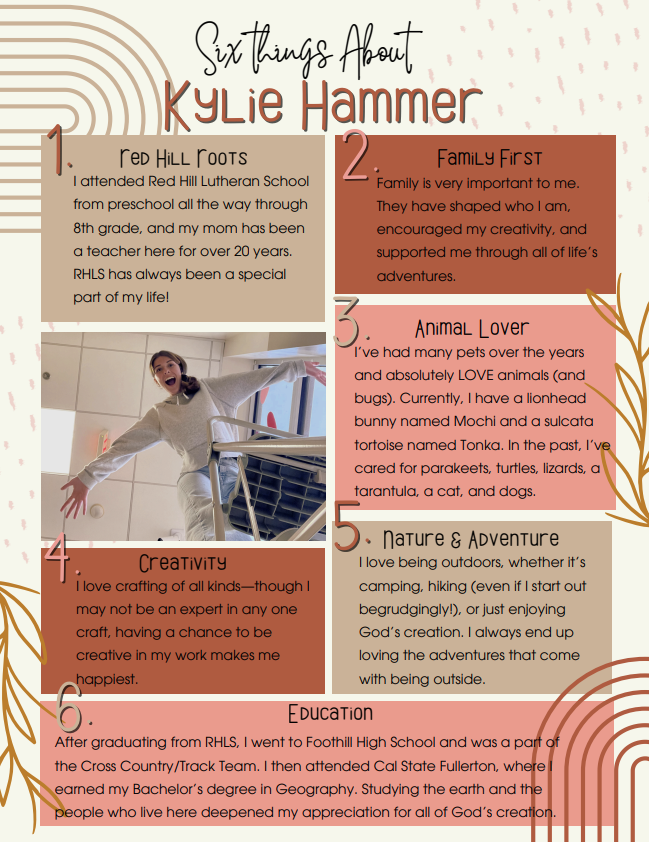 Hammer 6 Things