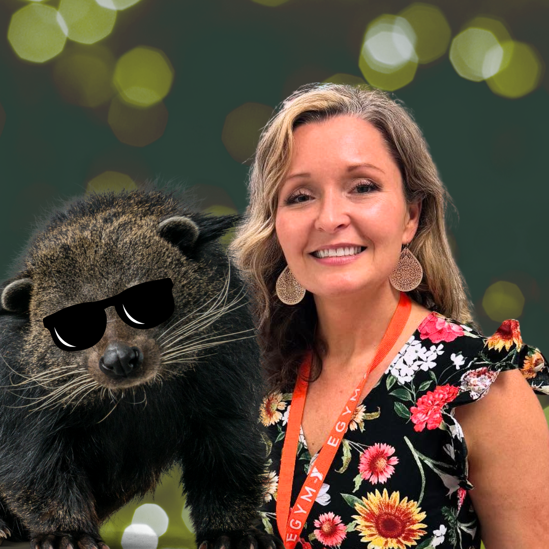 SusanKomisarjevsky's Profile Photo