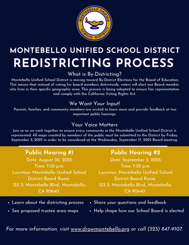 Redistricting Flyer August 2025