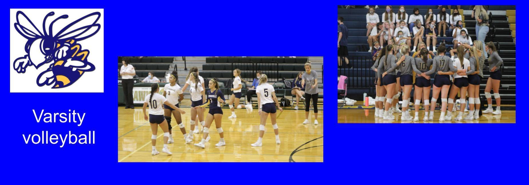 volleyball