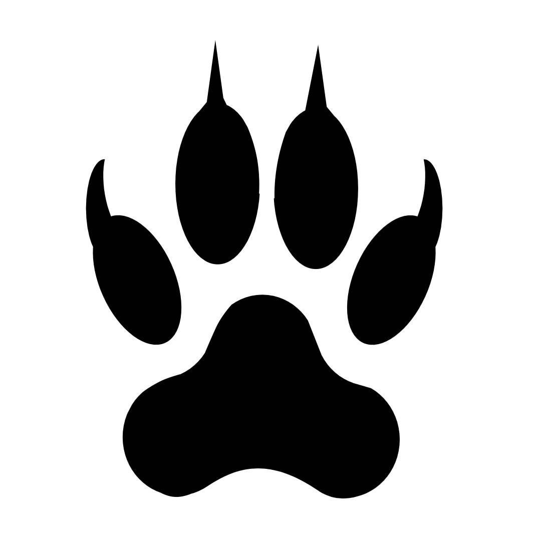 GracielaNavar's Profile Photo