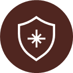 Safety and Security Icon