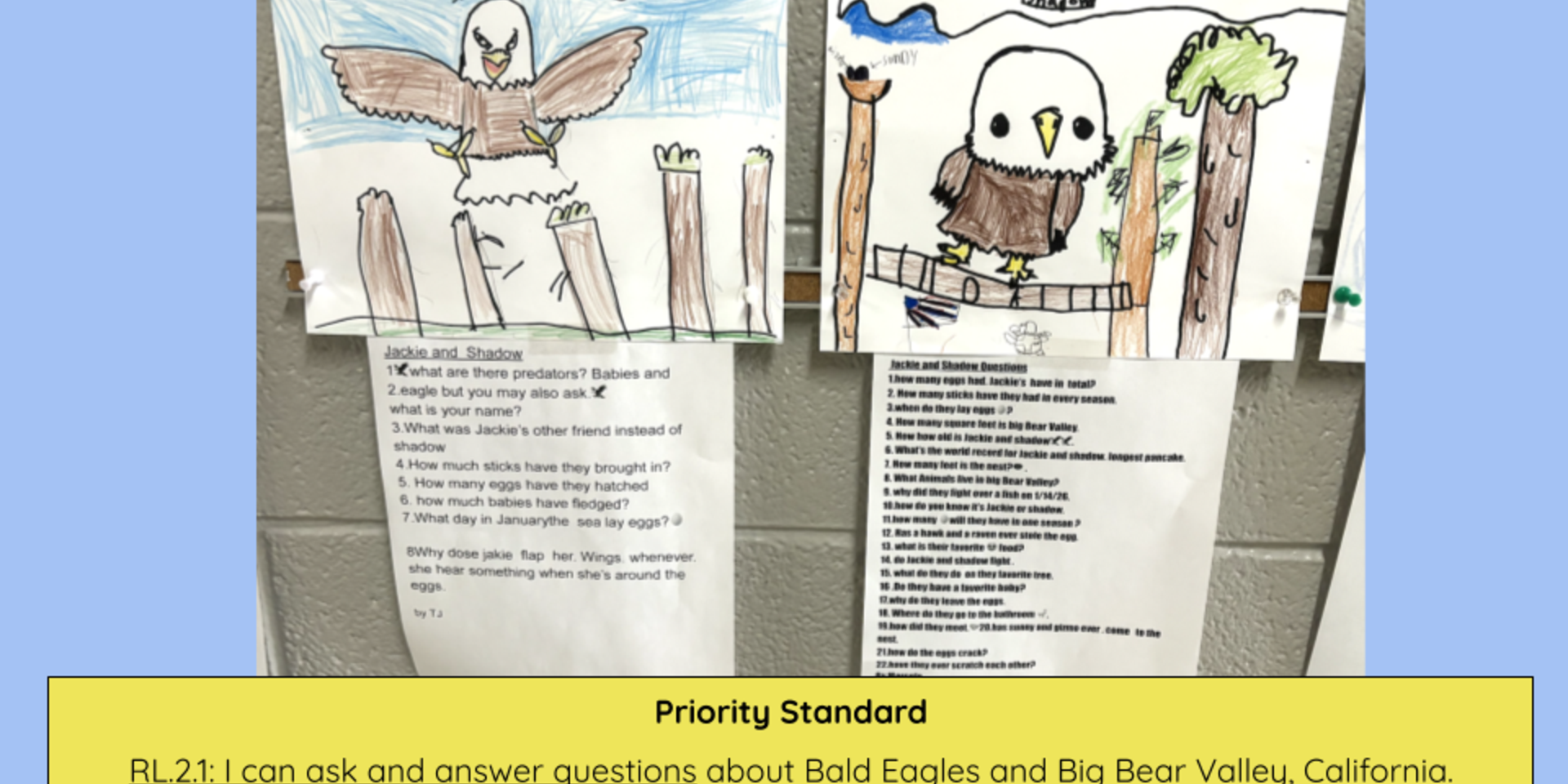 I can ask and answer questions about Bald Eagles and Big Bear Valley, California.