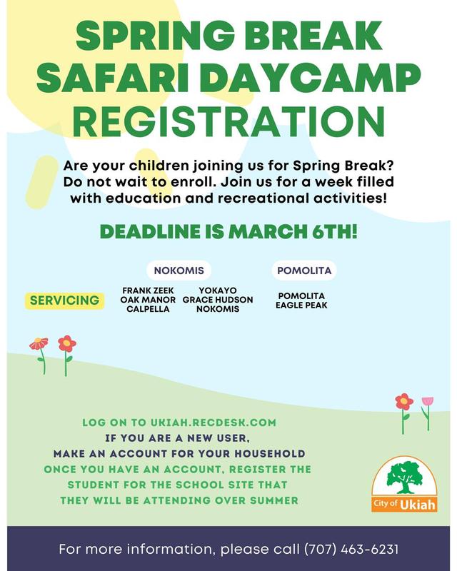 Spring Safari poster