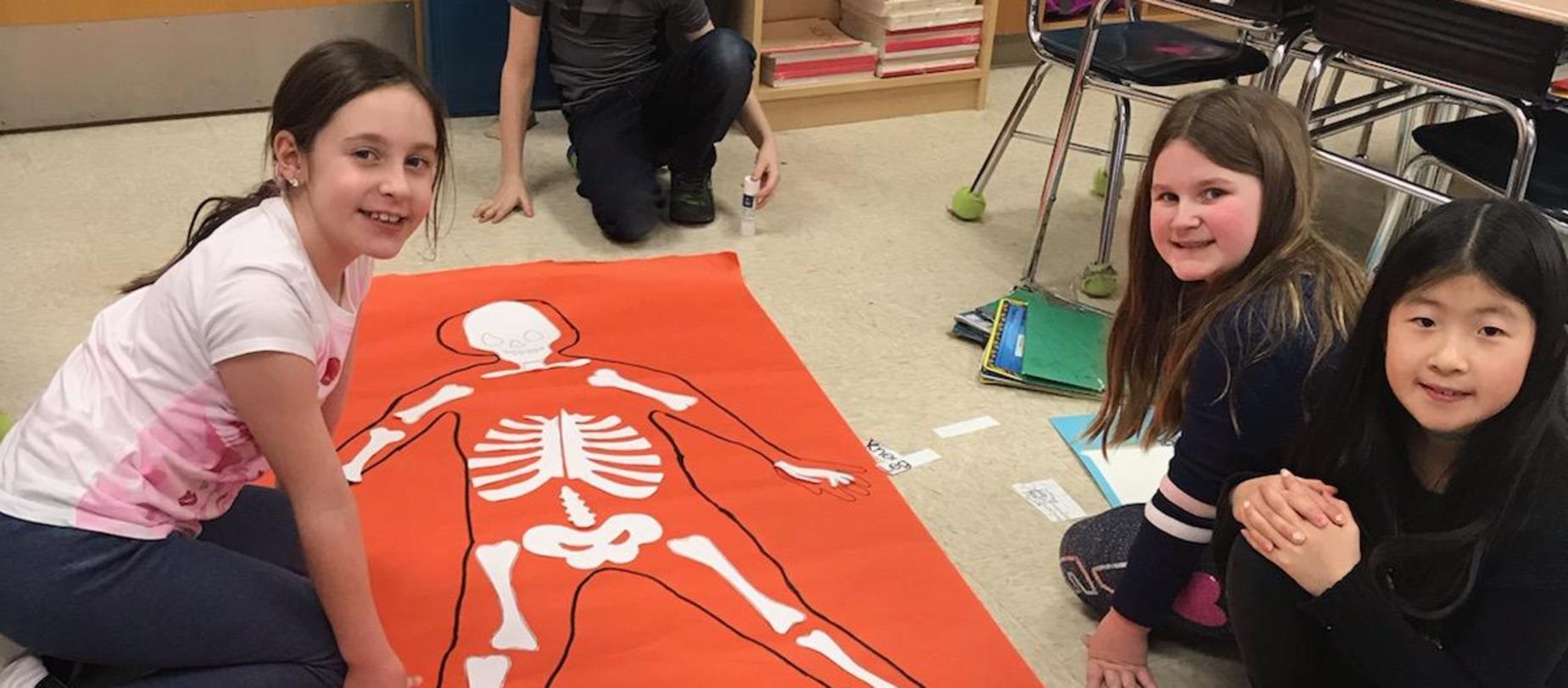 Skeletons