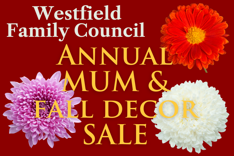 Support your Family Council