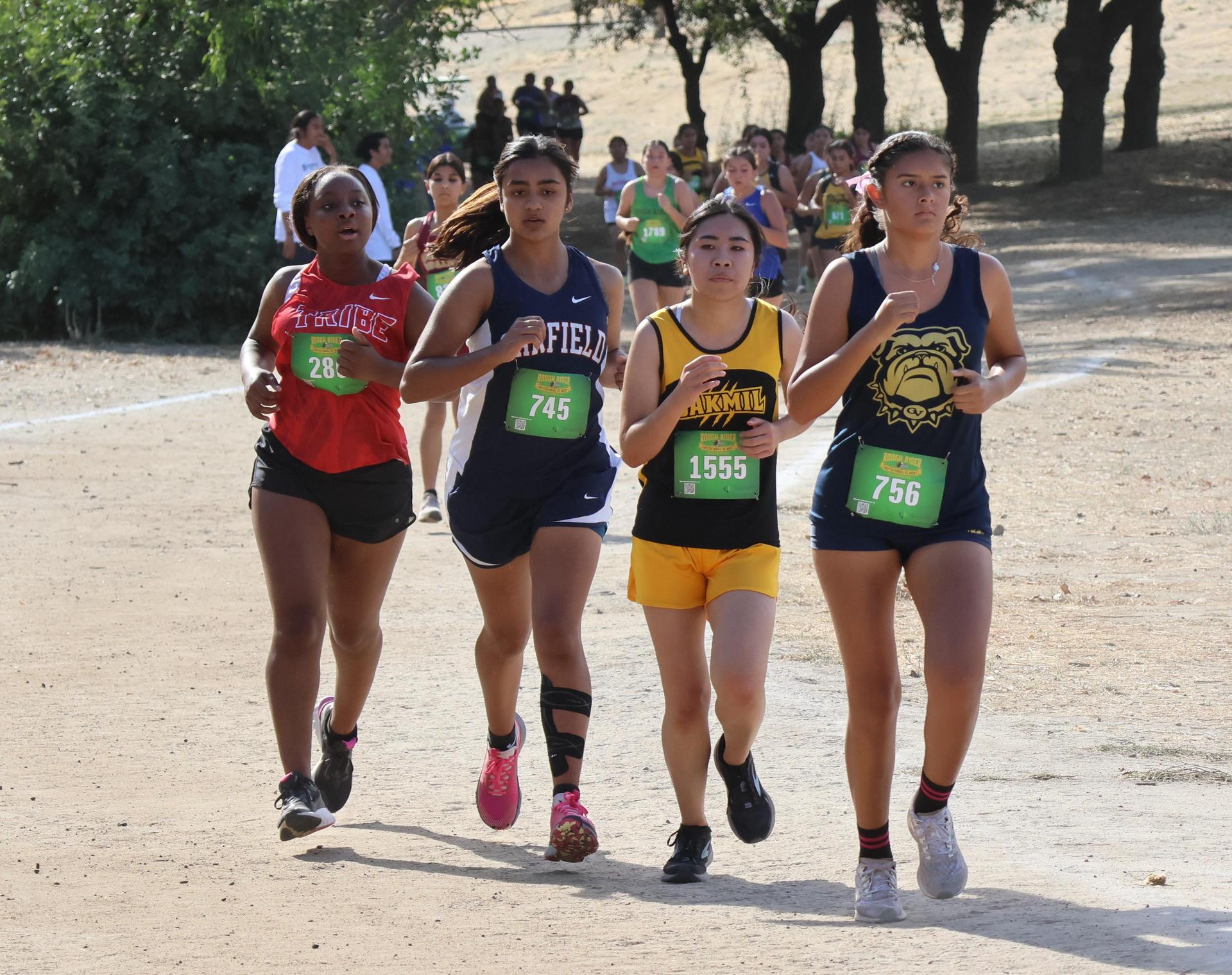 cross country runners in action
