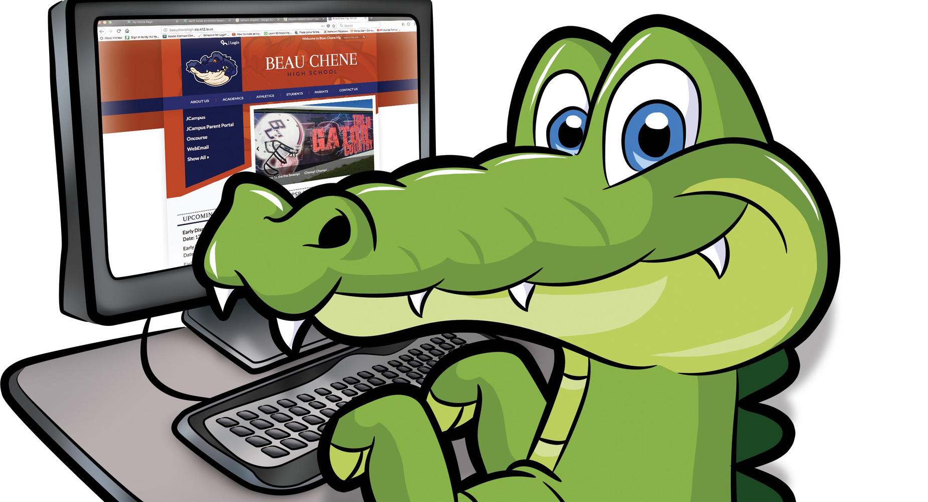 Gator at the computer looking at the website