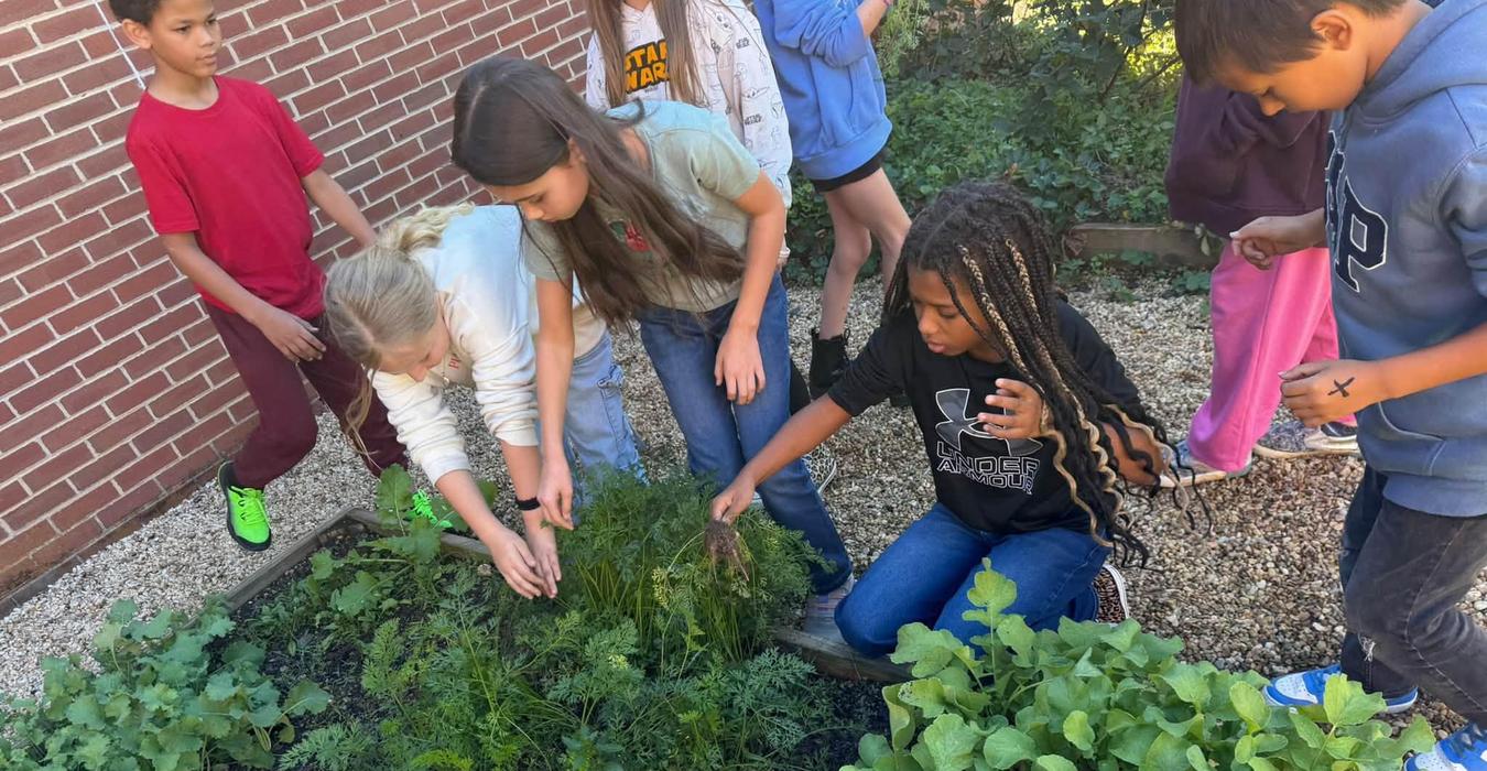 Children gardening together, tending to plants in a school garden.