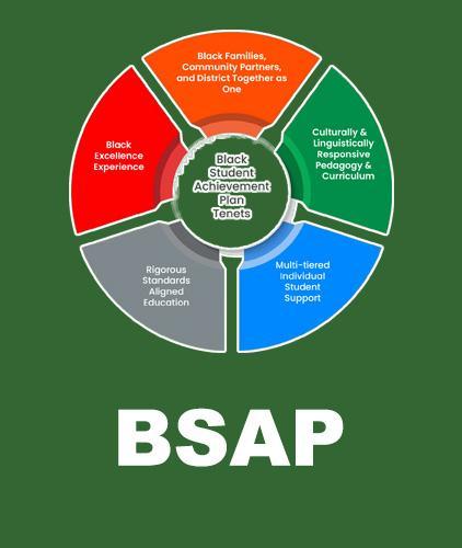 The Black Student Achievement Plan
