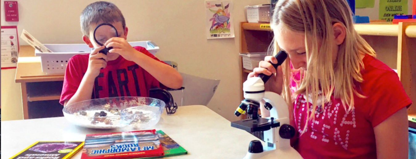 Students in the science lab