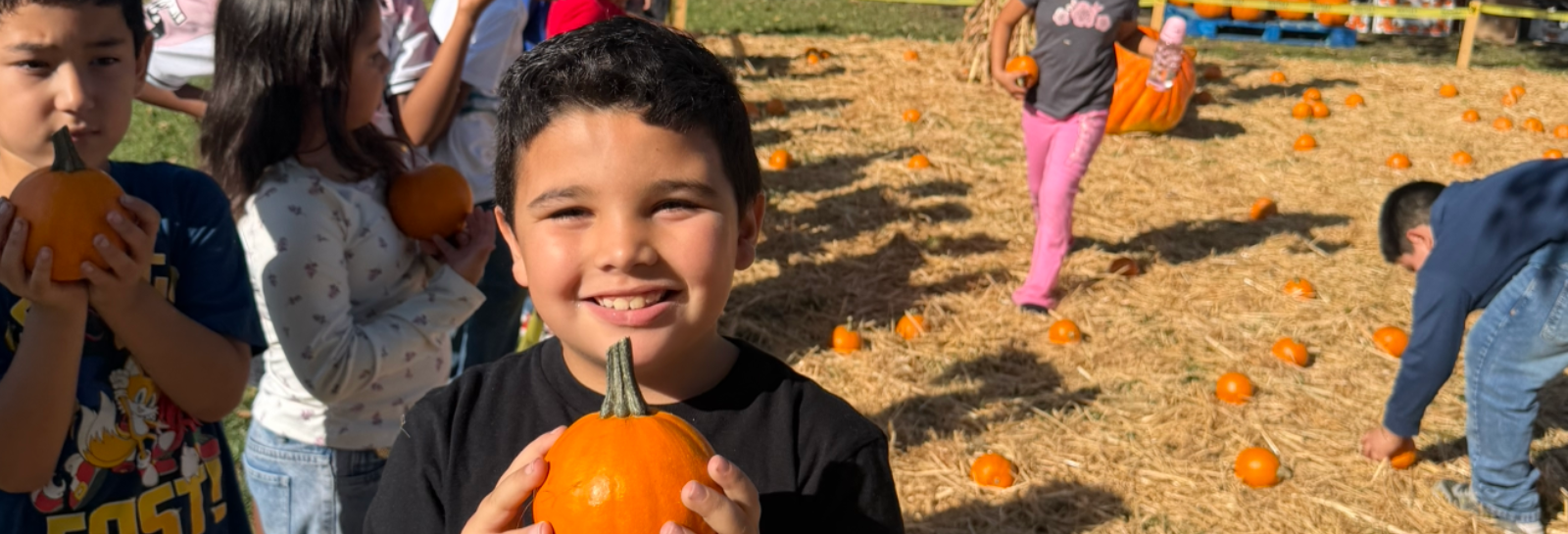 Alcott Pumpkin Patch - photos from the day of