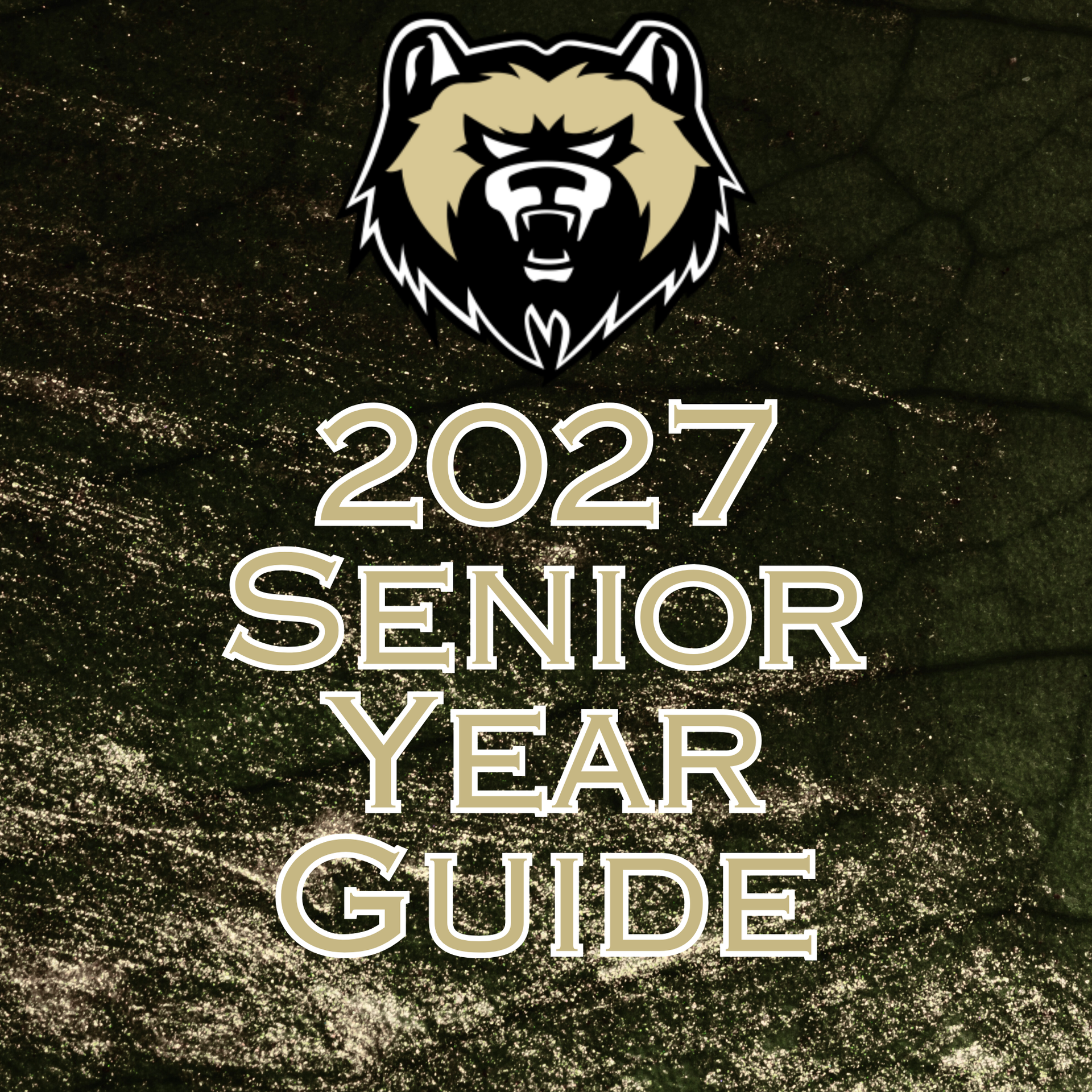 Senior Year Guide
