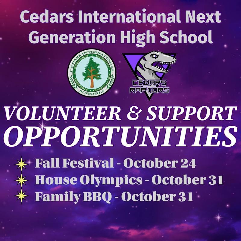 Volunteer