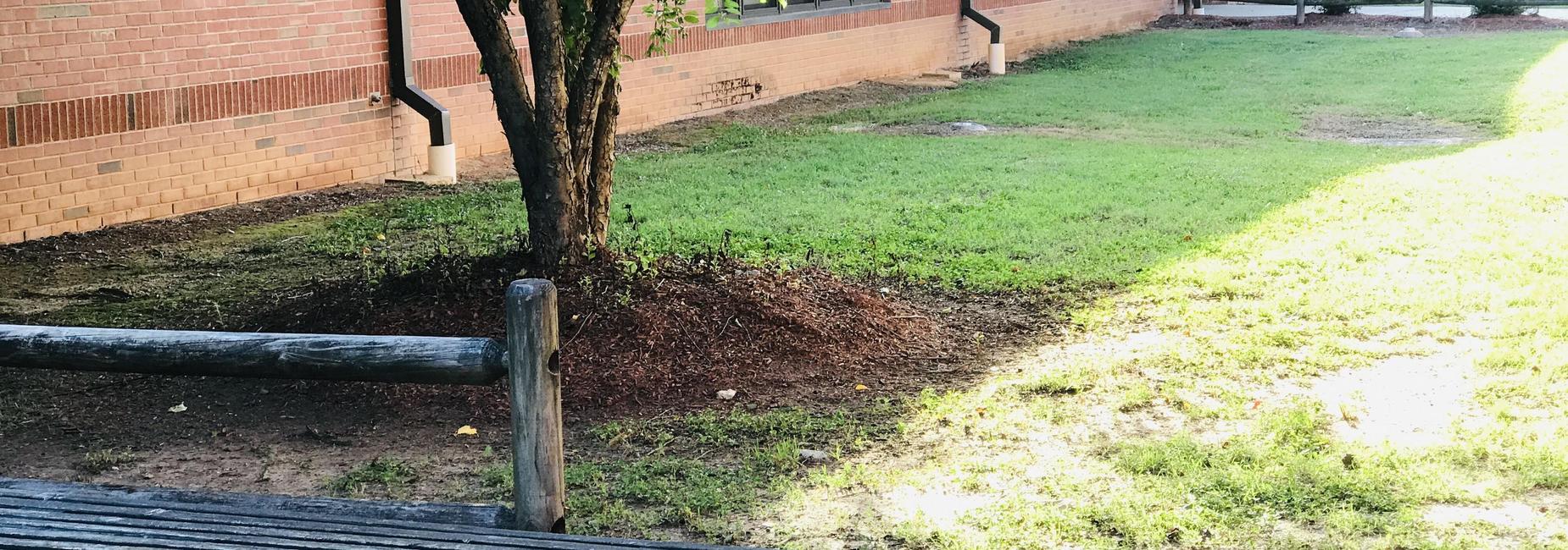 8th Grade side walk
