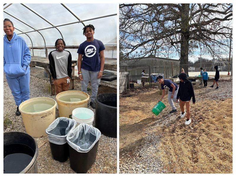 keeping chickens safe during winter weather