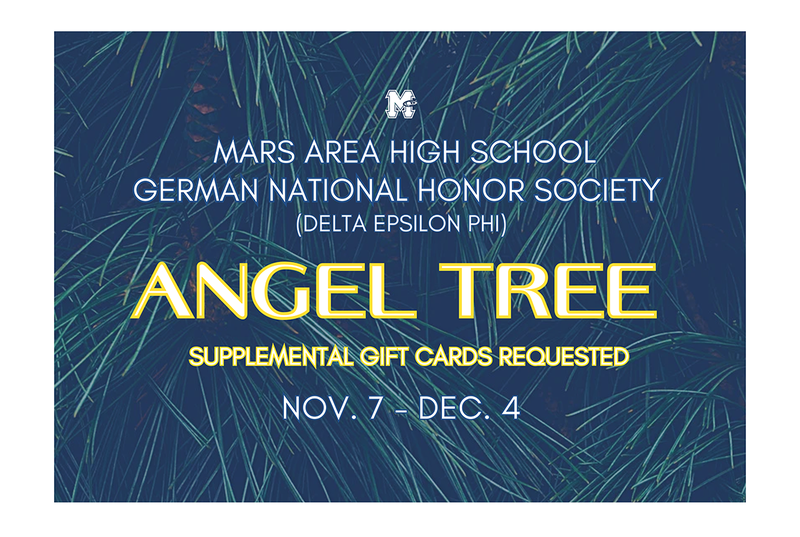 A close up picture of a pine tree with long needles