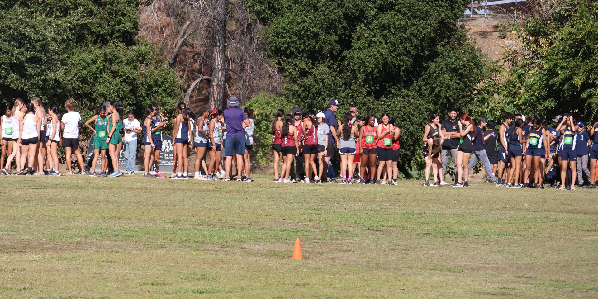 cross country runners in action