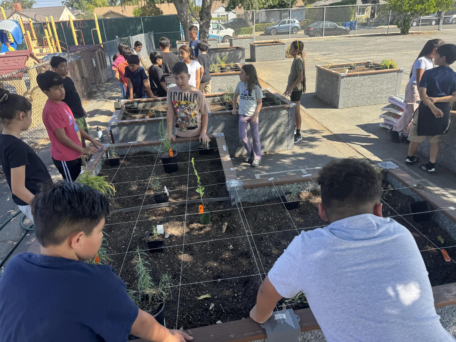 Lorne's Monarch Butterfly Sanctuary Garden