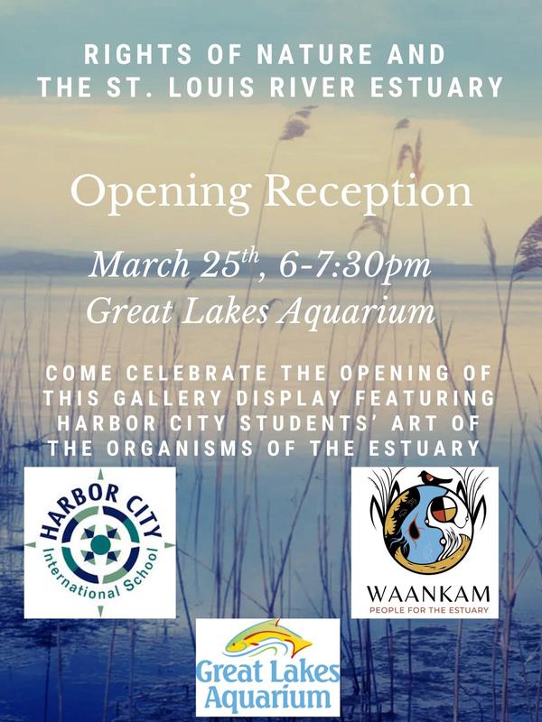Join us at the Great Lakes Aquarium to celebrate the opening of a collaborative gallery featuring art from Harbor City International students on organisms of the St. Louis River Estuary.