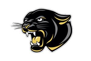 School's Panther Mascot