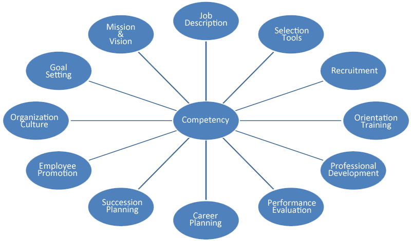 Picture of Job Competencies graph