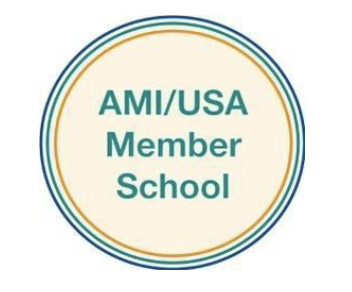 AMI/USA logo