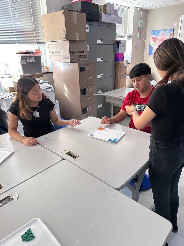 Working together on DNA