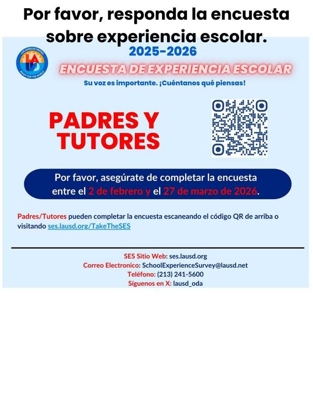 Por favor, responda la encuesta sobre experiencia escolar.