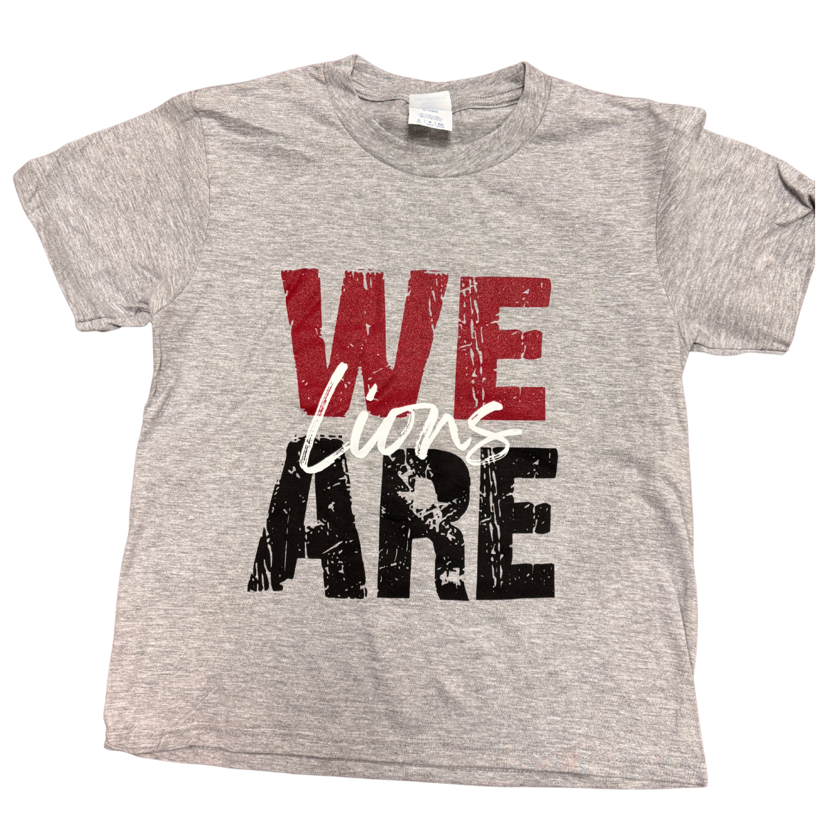 We Are Lions in block text on gray shirt