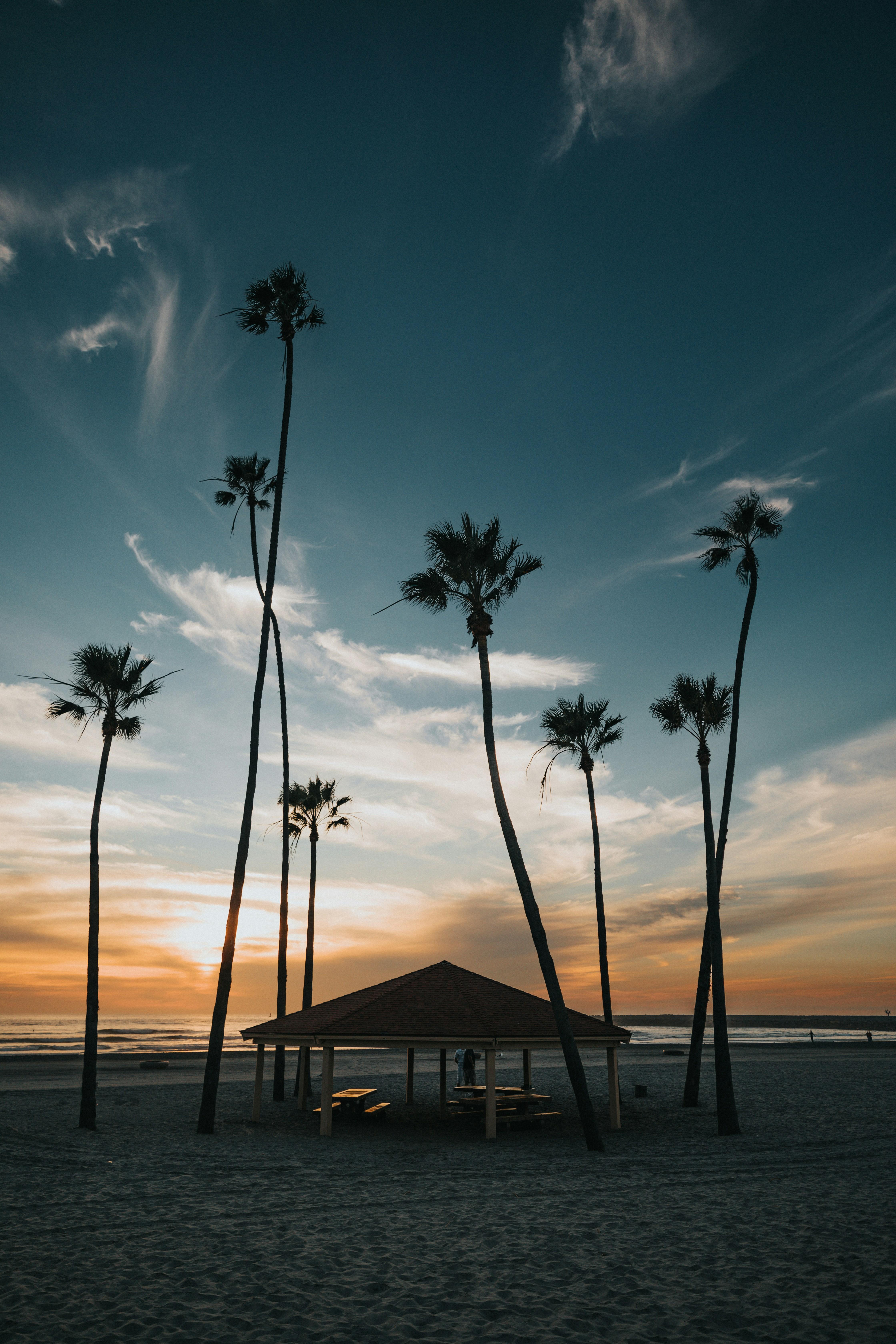 Register for CAWS 2026 IB Workshops in San Diego and Lake Tahoe Image