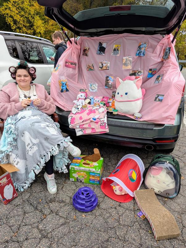 cat fancier trunk or treat