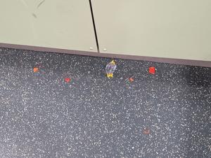 crushed chips left on floor