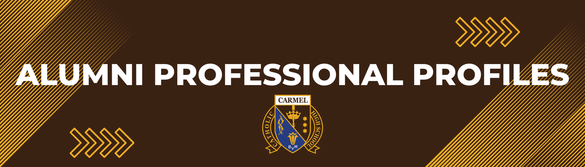 Alumni Professional Profiles