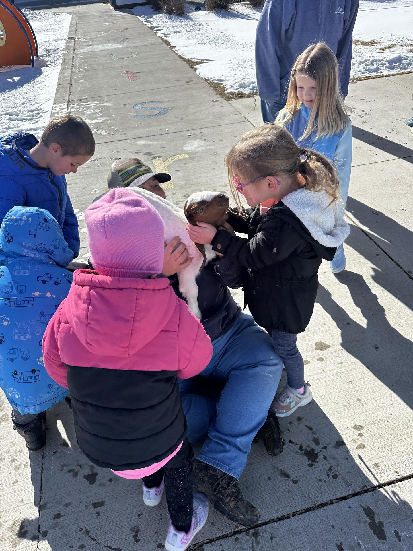 baby students and goats