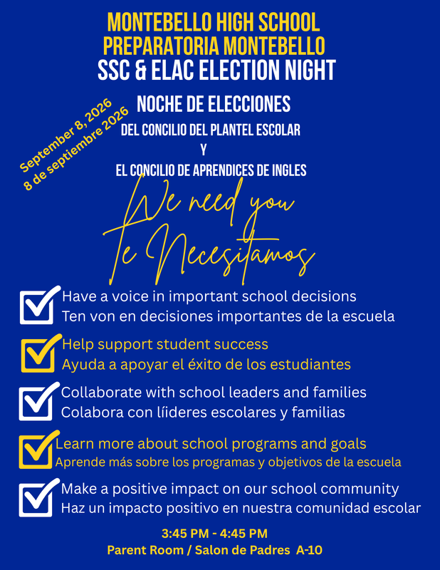 Blue Flyer with text