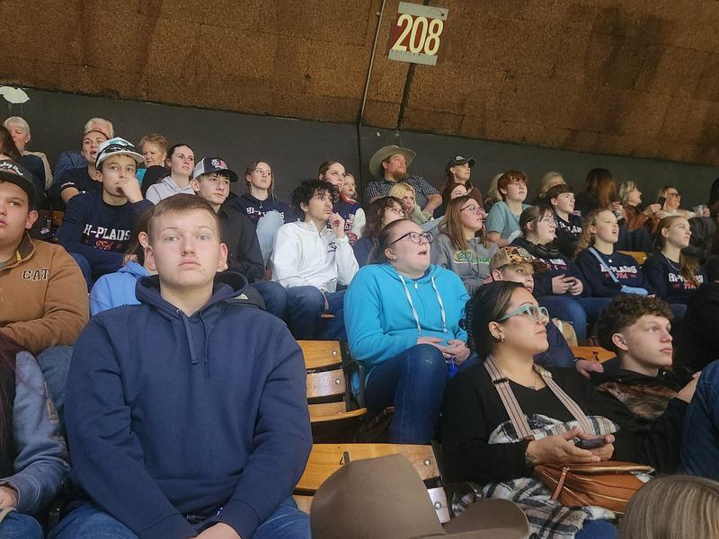 FFA members sitting together in the stands of the stadium watching the rodeo.