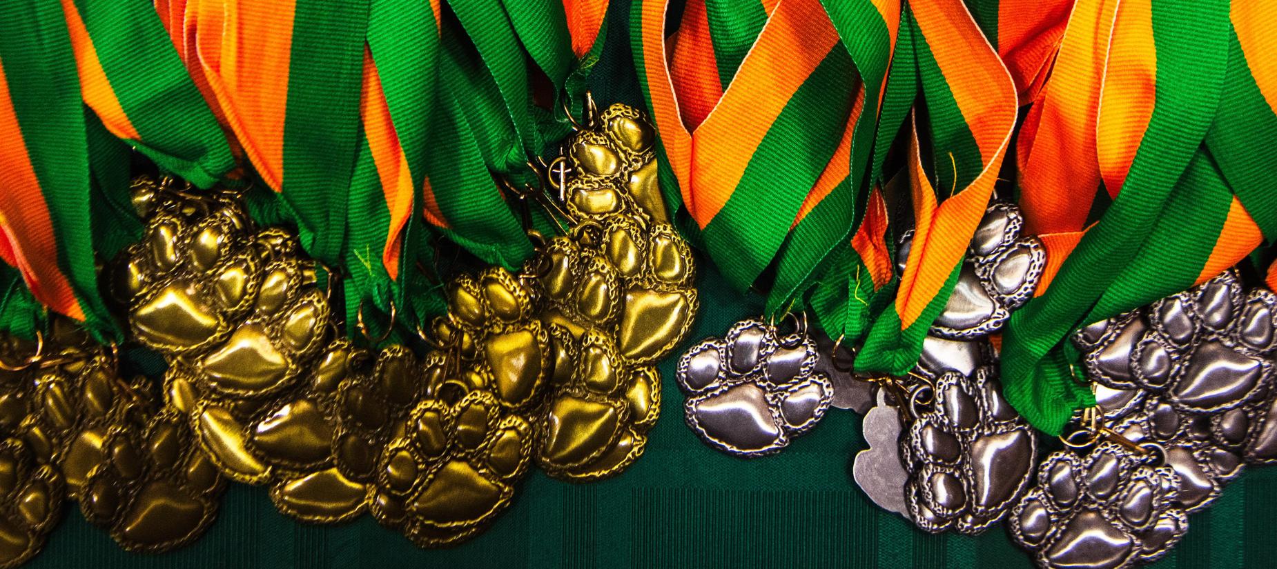 Medallion image